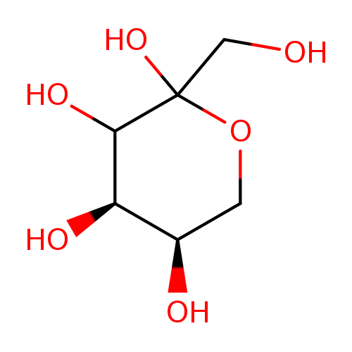 OCC1(O)OC[C@H]([C@H](C1O)O)O	C6H12O6