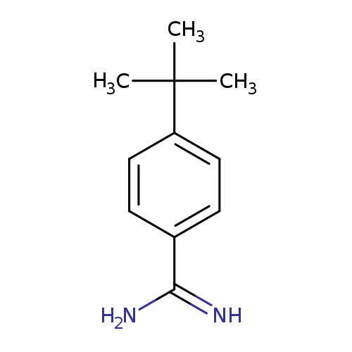 NC(=N)c1ccc(cc1)C(C)(C)C