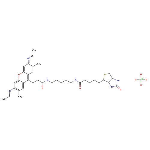 [O-][Cl](=O)(=O)=O.CCNc1cc2oc3cc(=[NH+]CC)c(cc3c(c2cc1C)CCC(=O)NCCCCCNC(=O)CCCCC1SCC2C1NC(=O)N2)C