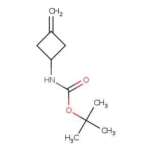 O=C(OC(C)(C)C)NC1CC(=C)C1
