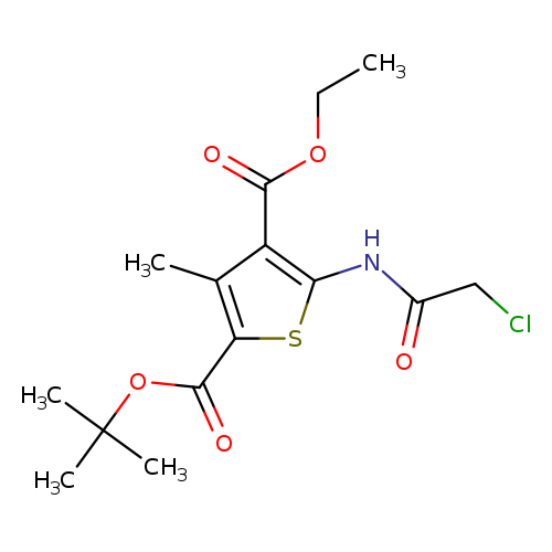 CCOC(=O)c1c(NC(=O)CCl)sc(c1C)C(=O)OC(C)(C)C
