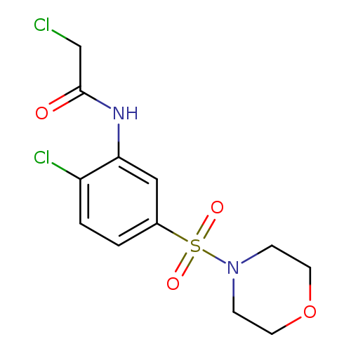 ClCC(=O)Nc1cc(ccc1Cl)S(=O)(=O)N1CCOCC1