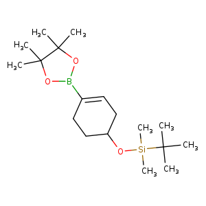 C[Si](C(C)(C)C)(OC1CCC(=CC1)B1OC(C(O1)(C)C)(C)C)C