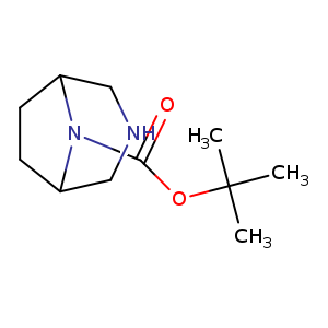 O=C(N1C2CNCC1CC2)OC(C)(C)C