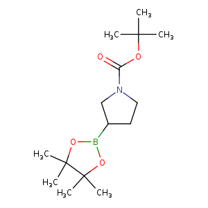 O=C(N1CCC(C1)B1OC(C(O1)(C)C)(C)C)OC(C)(C)C