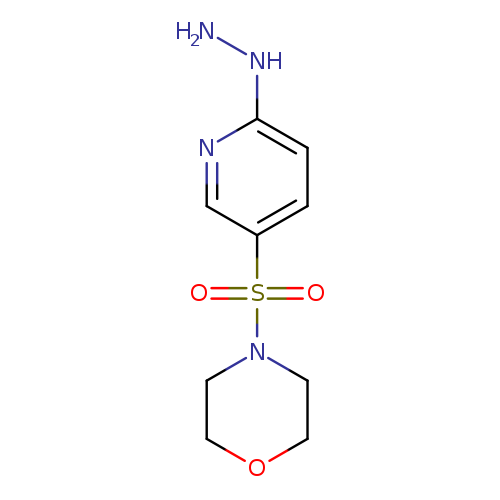 NNc1ccc(cn1)S(=O)(=O)N1CCOCC1