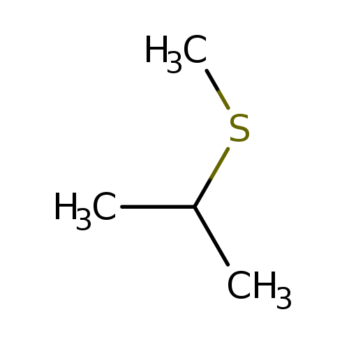 CSC(C)C