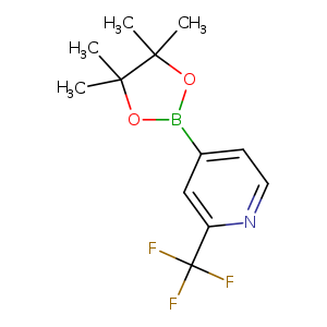 CC1(C)OB(OC1(C)C)c1ccnc(c1)C(F)(F)F