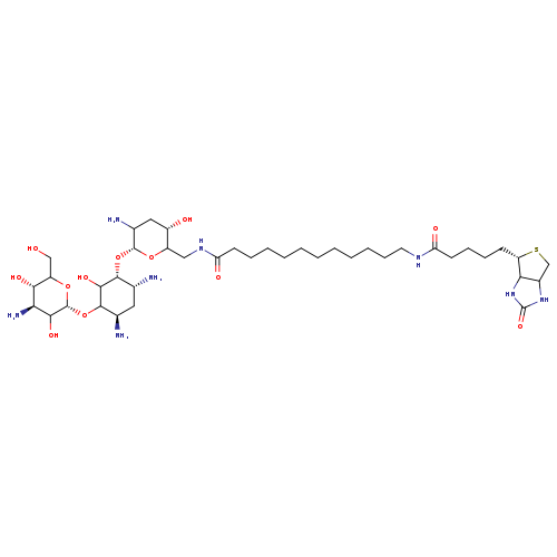 OCC1O[C@H](OC2[C@H](N)C[C@H]([C@H](C2O)O[C@H]2OC(CNC(=O)CCCCCCCCCCCNC(=O)CCCC[C@@H]3SCC4C3NC(=O)N4)[C@H](CC2N)O)N)C([C@H]([C@@H]1O)N)O