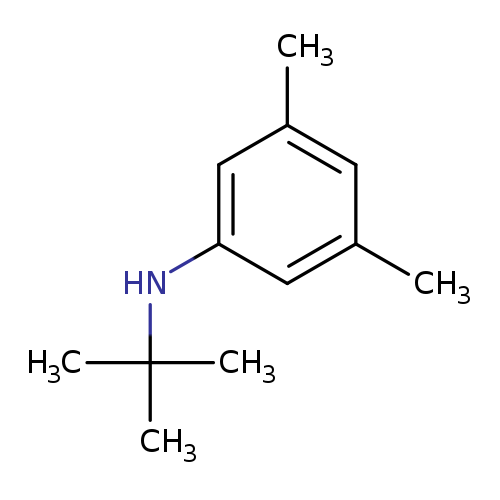 Cc1cc(cc(c1)C)NC(C)(C)C