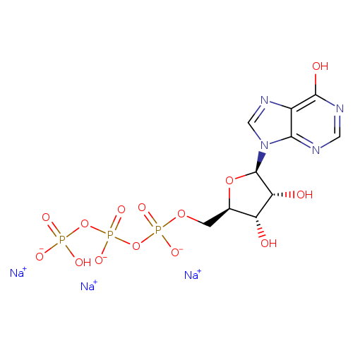 O[C@@H]1[C@@H](COP(=O)(OP(=O)(OP(=O)(O)[O-])[O-])[O-])O[C@H]([C@@H]1O)n1cnc2c1ncnc2O.[Na+].[Na+].[Na+]