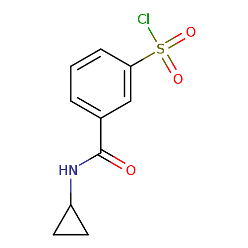 O=C(c1cccc(c1)S(=O)(=O)Cl)NC1CC1