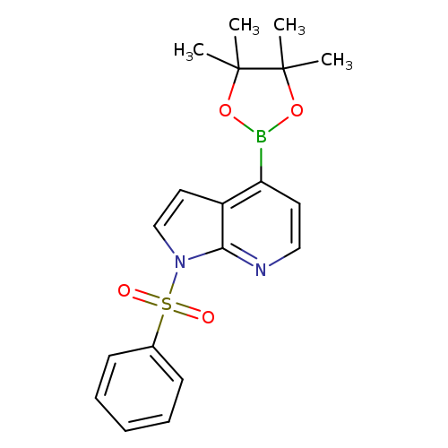 CC1(C)OB(OC1(C)C)c1ccnc2c1ccn2S(=O)(=O)c1ccccc1