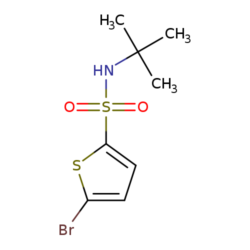 CC(NS(=O)(=O)c1ccc(s1)Br)(C)C