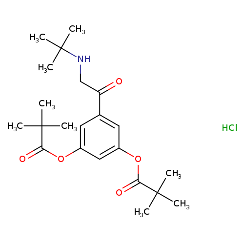 O=C(c1cc(cc(c1)OC(=O)C(C)(C)C)OC(=O)C(C)(C)C)CNC(C)(C)C.Cl