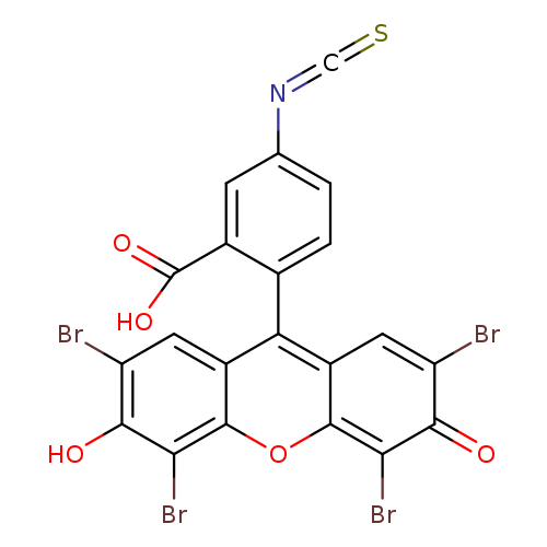 S=C=Nc1ccc(c(c1)C(=O)O)c1c2cc(Br)c(c(c2oc2c1cc(Br)c(=O)c2Br)Br)O