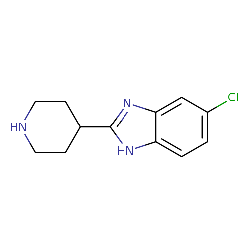 Clc1ccc2c(c1)nc([nH]2)C1CCNCC1
