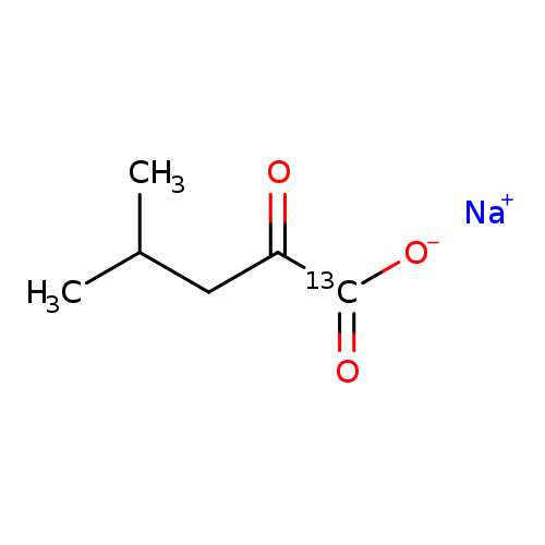 CC(CC(=O)[13C](=O)[O-])C.[Na+]