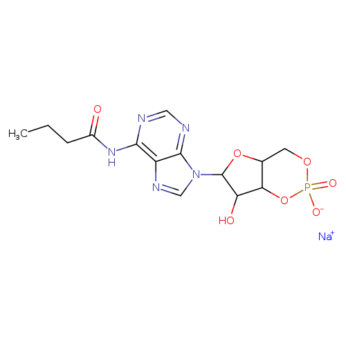CCCC(=O)Nc1ncnc2c1ncn2C1OC2C(C1O)OP(=O)(OC2)[O-].[Na+]