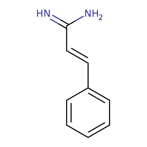 NC(=N)/C=C/c1ccccc1