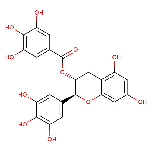 Oc1cc(O)c2c(c1)O[C@H]([C@@H](C2)OC(=O)c1cc(O)c(c(c1)O)O)c1cc(O)c(c(c1)O)O