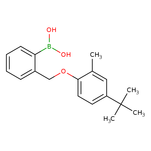 Cc1cc(ccc1OCc1ccccc1B(O)O)C(C)(C)C