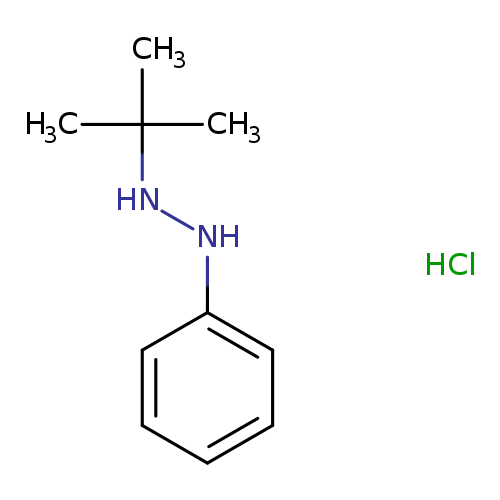 CC(NNc1ccccc1)(C)C.Cl