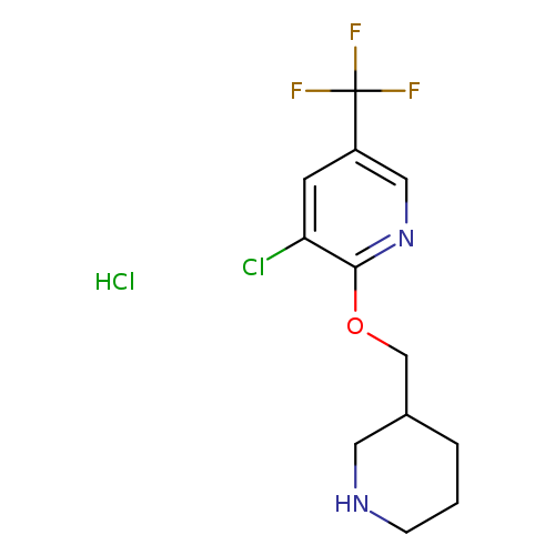 Clc1cc(cnc1OCC1CCCNC1)C(F)(F)F.Cl