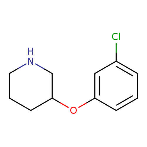 Clc1cccc(c1)OC1CCCNC1