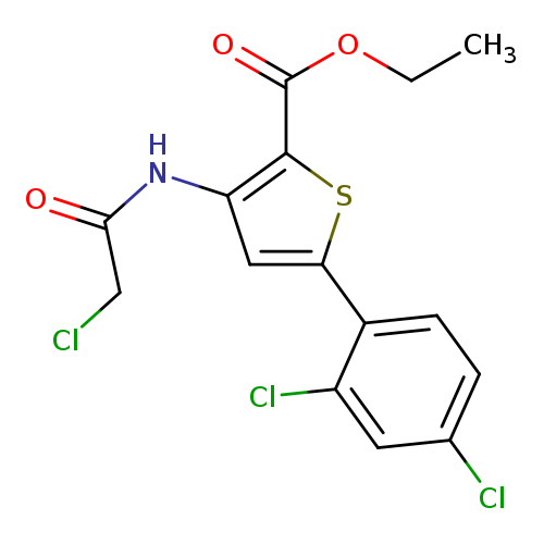 CCOC(=O)c1sc(cc1NC(=O)CCl)c1ccc(cc1Cl)Cl