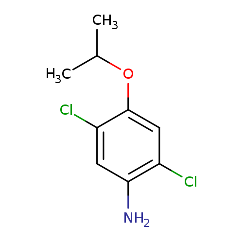 CC(Oc1cc(Cl)c(cc1Cl)N)C