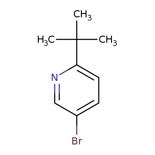 Brc1ccc(nc1)C(C)(C)C