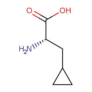 N[C@H](C(=O)O)CC1CC1