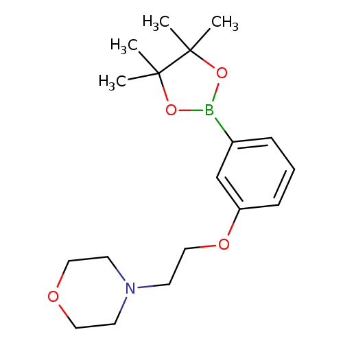 CC1(C)OB(OC1(C)C)c1cccc(c1)OCCN1CCOCC1