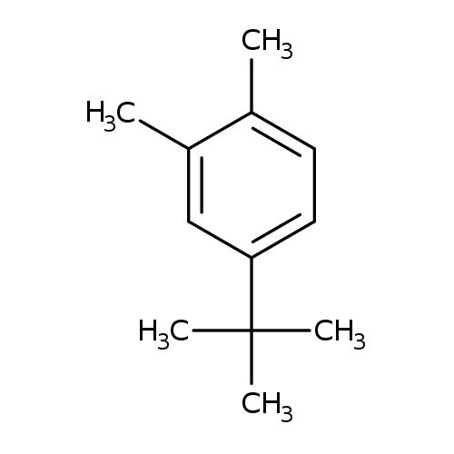 Cc1ccc(cc1C)C(C)(C)C