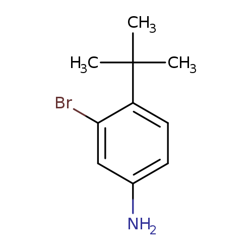 Nc1ccc(c(c1)Br)C(C)(C)C