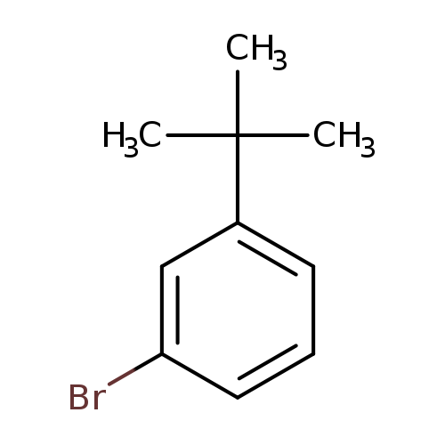 Brc1cccc(c1)C(C)(C)C