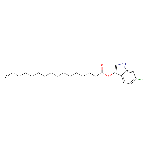 CCCCCCCCCCCCCCCC(=O)Oc1c[nH]c2c1ccc(c2)Cl