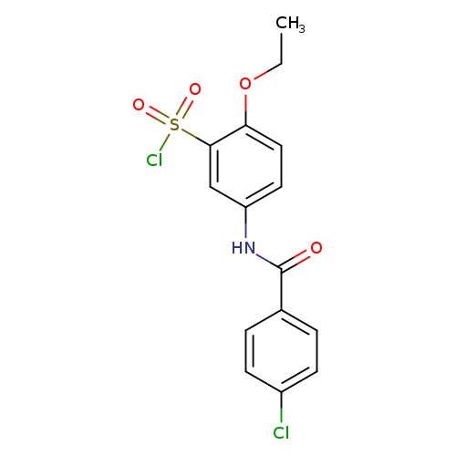 CCOc1ccc(cc1S(=O)(=O)Cl)NC(=O)c1ccc(cc1)Cl