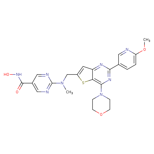 ONC(=O)c1cnc(nc1)N(Cc1cc2c(s1)c(nc(n2)c1ccc(nc1)OC)N1CCOCC1)C