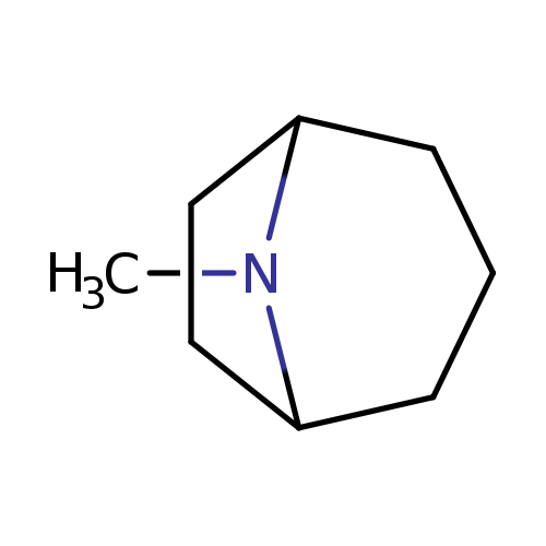 CN1C2CCCC1CC2