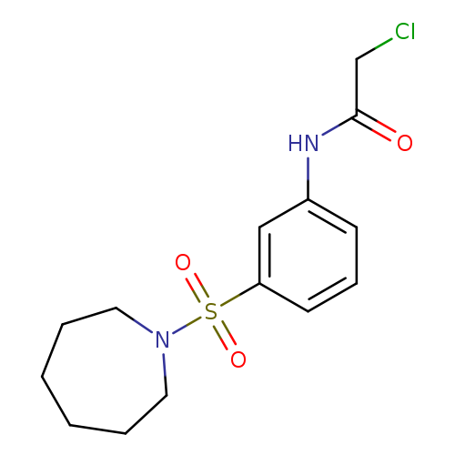 ClCC(=O)Nc1cccc(c1)S(=O)(=O)N1CCCCCC1