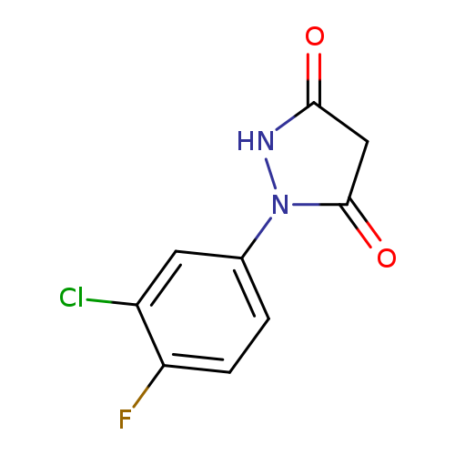 O=C1CC(=O)N(N1)c1ccc(c(c1)Cl)F