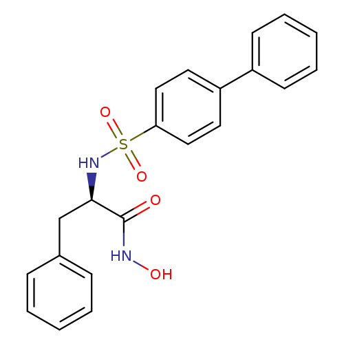 ONC(=O)[C@H](NS(=O)(=O)c1ccc(cc1)c1ccccc1)Cc1ccccc1
