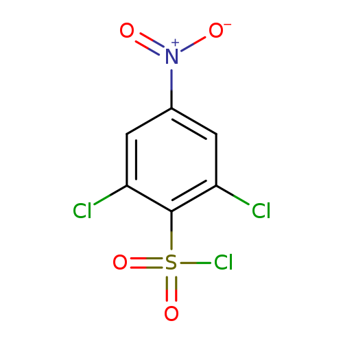 [O-][N+](=O)c1cc(Cl)c(c(c1)Cl)S(=O)(=O)Cl