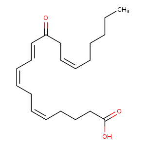 CCCCC/C=C\CC(=O)/C=C/C=C\C/C=C\CCCC(=O)O