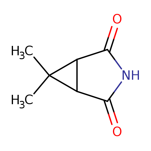 O=C1NC(=O)C2C1C2(C)C