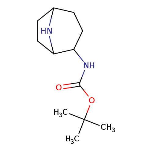 O=C(OC(C)(C)C)NC1CCC2NC1CC2