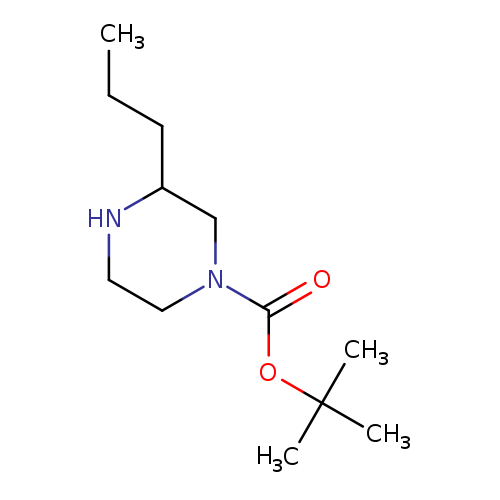 CCCC1NCCN(C1)C(=O)OC(C)(C)C