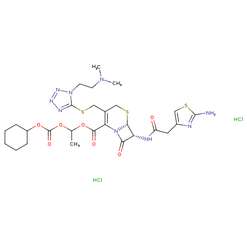 CN(CCn1nnnc1SCC1=C(C(=O)OC(OC(=O)OC2CCCCC2)C)N2[C@H](SC1)[C@@H](C2=O)NC(=O)Cc1csc(n1)N)C.Cl.Cl